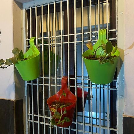 מטורה Ram Paying Guest House & Hostel Near By Krishna Janmabhoomi מראה חיצוני תמונה